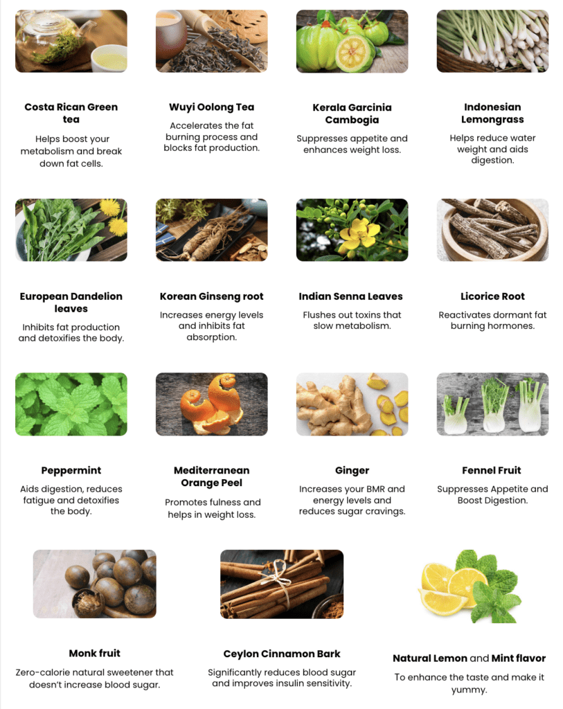 Slim boost tea img 3